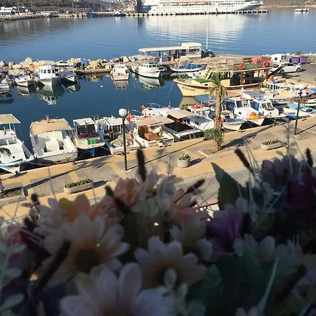 Гостевой дом Ufuk 4*